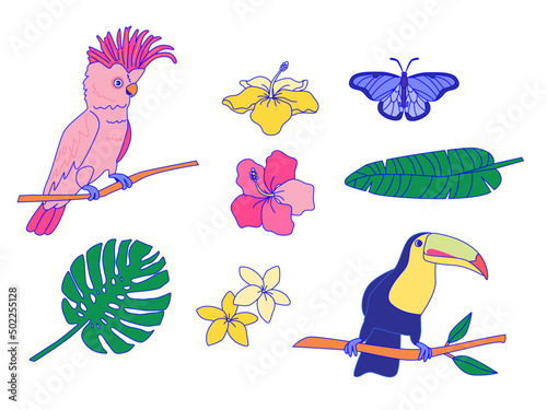 Set of tropical elements  birds  toucan  flowers  palm leaves and butterfly. Summer vector stickers. 