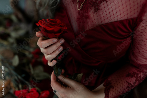 red rose in hand © Tessa