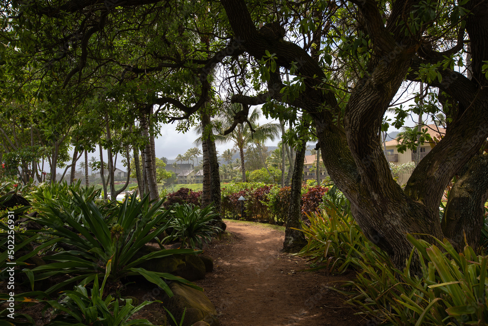 Path in a tropical garden on Kauai Island, Hawaii. Kapaa Beach. Path in a tropical garden on Kauai Island, Hawaii. Kapaa Beach.