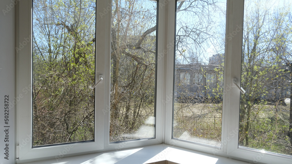 View from the window on the spring trees. View from the window on the spring trees.
