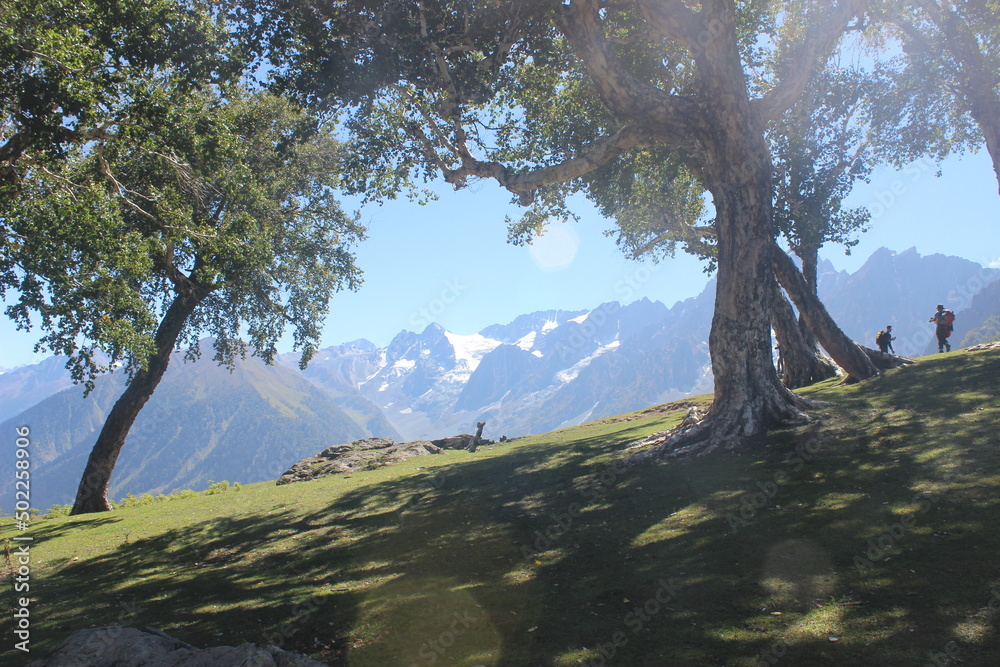 Obraz premium the tranquil Himalayas.