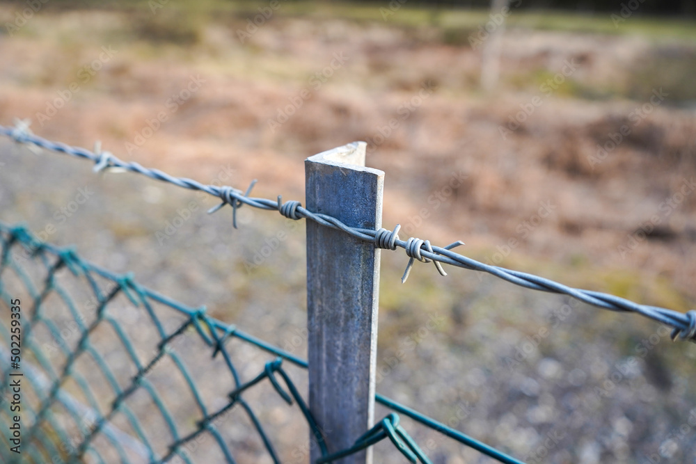 Close up of barbed wire fence Close up of barbed wire fence
