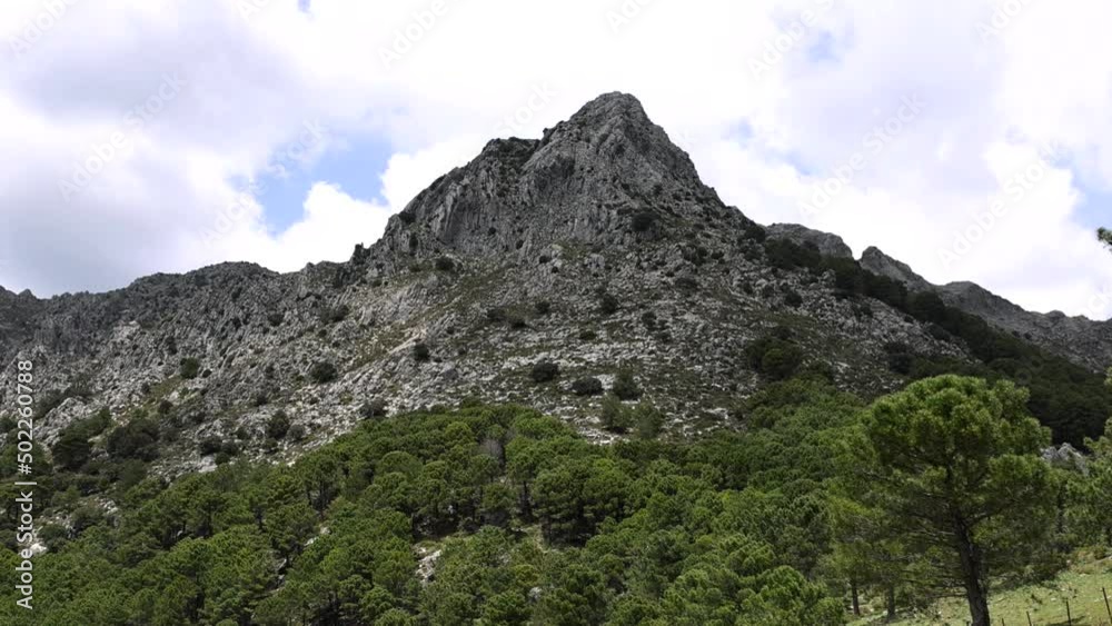 Panoramic view of Sierra de Grazalema (Grazalema Mountains) in Cadiz, Andalusia, Spain. Route Pueblos blancos de Cadiz (White villages of Cadiz route) Panoramic view of Sierra de Grazalema (Grazalema Mountains) in Cadiz, Andalusia, Spain. Route Pueblos blancos de Cadiz (White villages of Cadiz route)