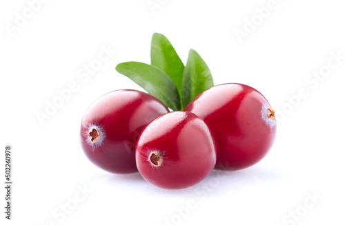 Cranberry with leaf on white background photo