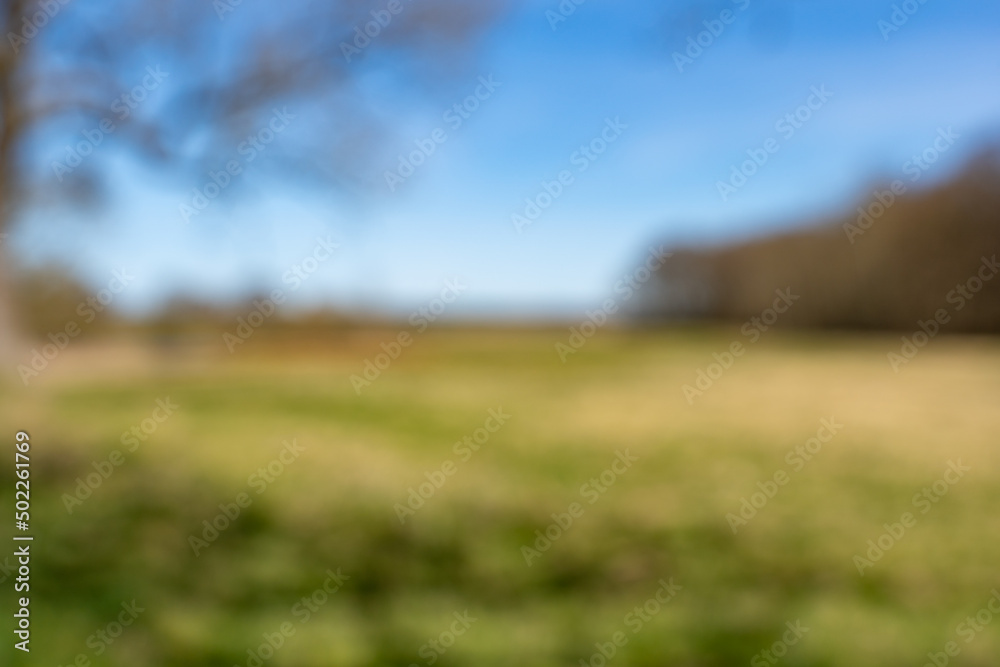 Obraz premium Blurry background of a beautiful landscape. A natural scene is out of focus to serve as a backdrop. Defocused rural environment. Abstract scenery of a meadow.