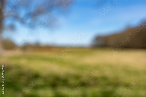 Fototapeta Naklejka Na Ścianę i Meble -  Blurry background of a beautiful landscape. A natural scene is out of focus to serve as a backdrop. Defocused rural environment. Abstract scenery of a meadow.