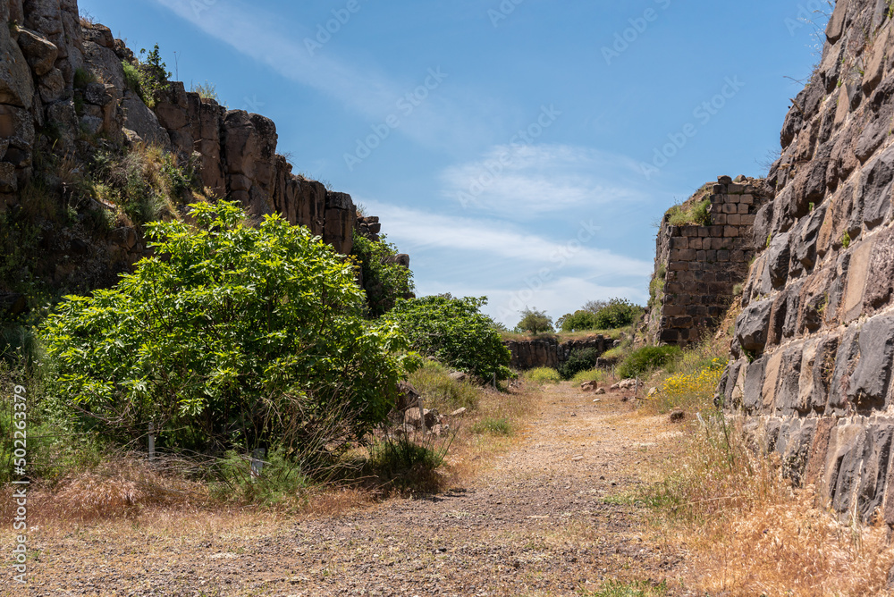 Ruins of moat around Belvoir Fortress, Kohav HaYarden National Park in Israel. Ruins of a Crusader castle.
