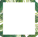Watercolor hand drawn banner frame with banana leaf, monstera, steam, green leaf foliage isolated on white background. 