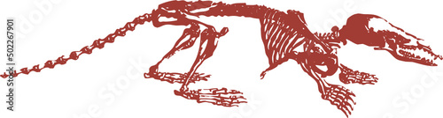 Squelette animal, vecteur pour conception graphique. 