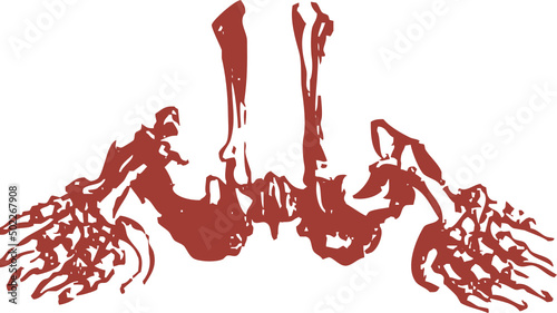 Squelette animal, vecteur pour conception graphique. 