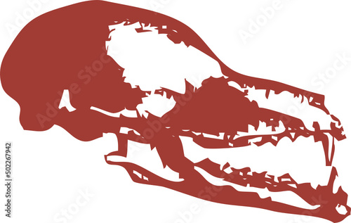 Squelette animal - crâne de Chauve souris pour design original, conception, T-Shirt ou autre graphique artistique. Vecteur sur fond transparent