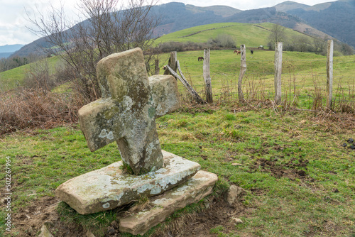 Rural landscape of the Batzan valley in Ziga Navarre Spain photo