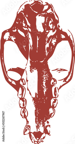Squelette animal - crâne de Chauve souris pour design original, conception, T-Shirt ou autre graphique artistique. Vecteur sur fond transparent