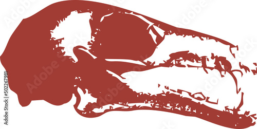 Squelette animal - crâne de Chauve souris pour design original, conception, T-Shirt ou autre graphique artistique. Vecteur sur fond transparent
