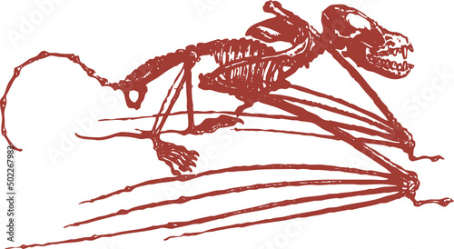 Squelette animal, vecteur pour conception graphique. 