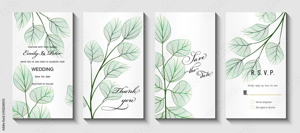 Wedding invitation with leaves eucalyptus,  isolated on white. Vector 