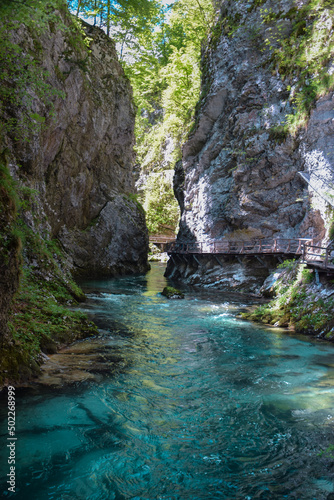 Fototapeta Naklejka Na Ścianę i Meble -  Vindgar Gorge in Slovenian Julian Alps