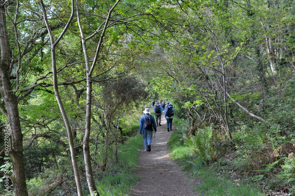 Hiking along the Guindy river in Brittany-France