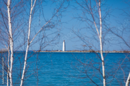 Lighthouse framed by birch trees on Georgian Bay in Collingwood Ontario 