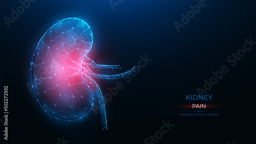 Polygonal vector illustration of an inflamed human kidney on a dark blue background. Diseases of the organs of the excretory system concept. Urological or nephrological template, or banner.