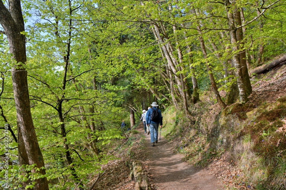 Hiking along the Guindy river in Brittany-France Hiking along the Guindy river in Brittany-France