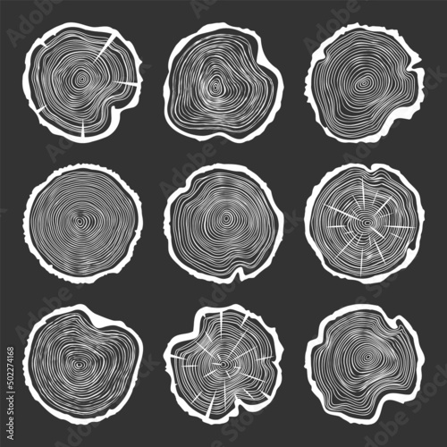 White round tree trunk cuts with cracks, sawn pine or oak slices, lumber. Saw cut timber, wood. Wooden texture with tree rings. Hand drawn sketch. Vector illustration