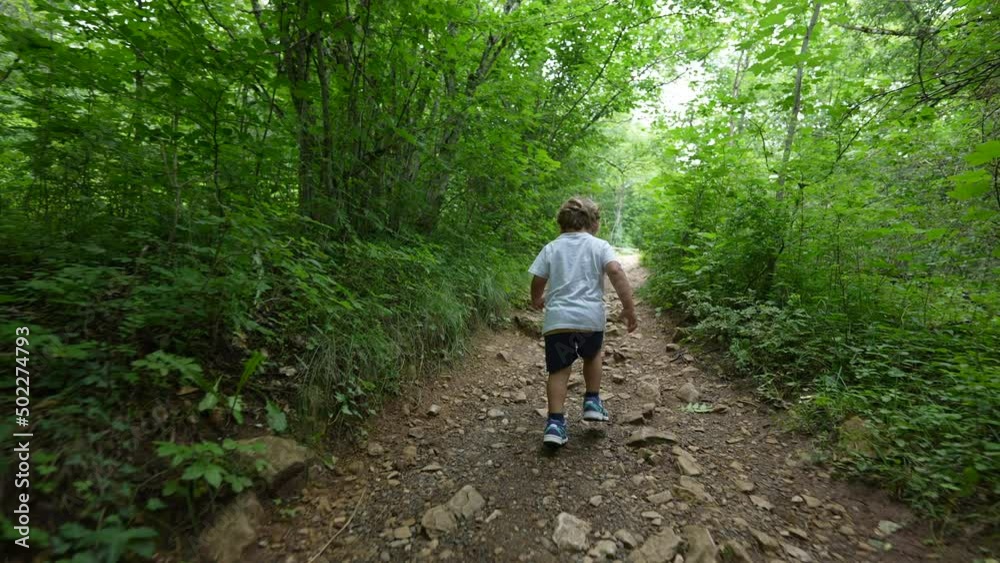 Child hiking outside on green path kid walking outdoors in the woods Child hiking outside on green path kid walking outdoors in the woods