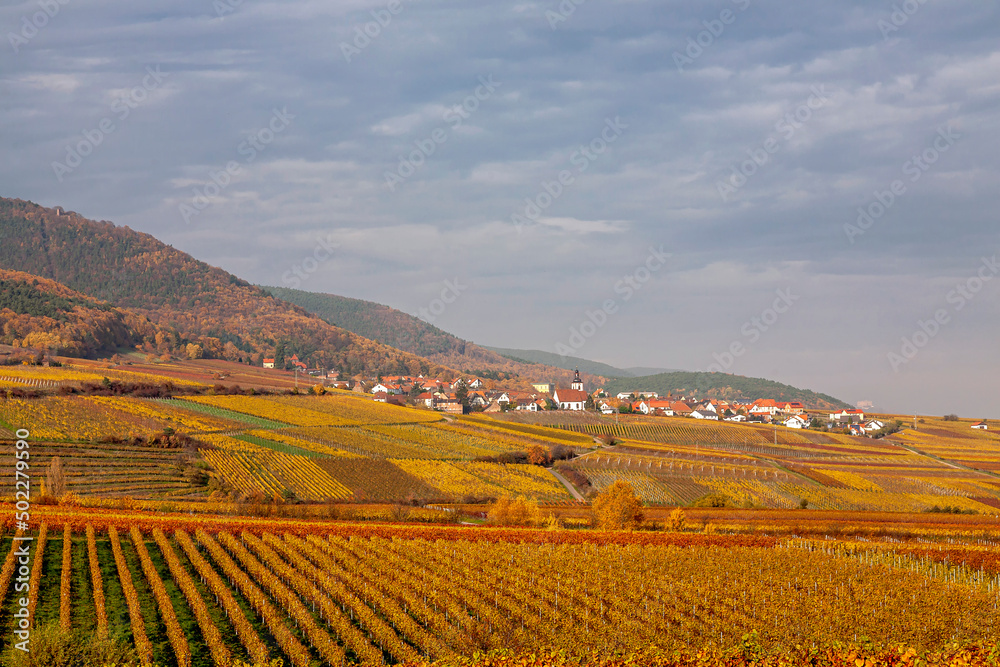 An der Deutschen Weinstrasse im Herbst, Südpfalz, Pfalz