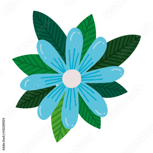 cute blue flower
