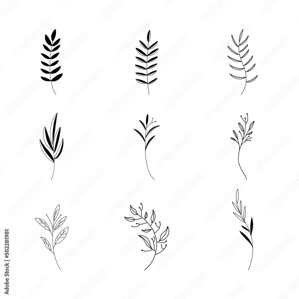 Hand drawn Set of botanical leaf doodle wildflower line art Hand drawn Set of botanical leaf doodle wildflower line art