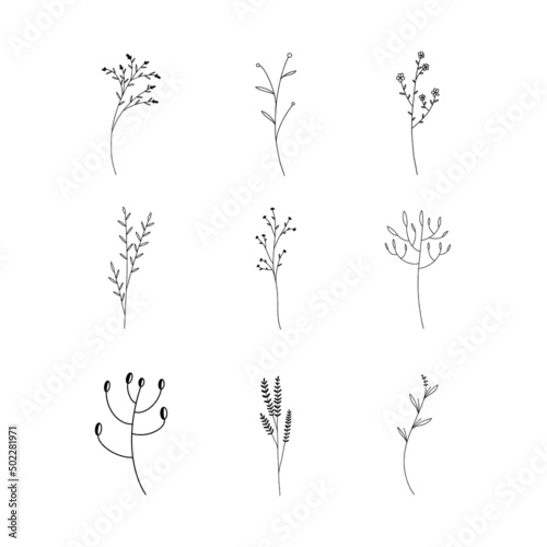 Hand drawn Set of botanical leaf doodle wildflower line art 