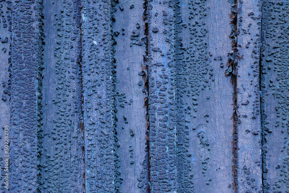 Blue wooden background with cracked paint. Embossed wooden boards with the remains of old paint. Texture of a wooden fence close-up. Blue wooden background with cracked paint. Embossed wooden boards with the remains of old paint. Texture of a wooden fence close-up.