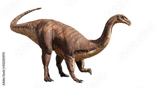 Fototapeta Naklejka Na Ścianę i Meble -  Plateosaurus engelhardti, prosauropod dinosaur from the Late Triassic epoch, isolated on white background 