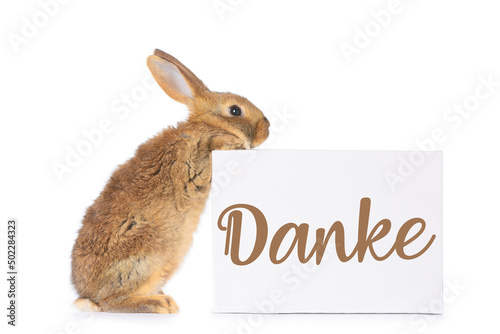 Cute rabbit and paper with ...