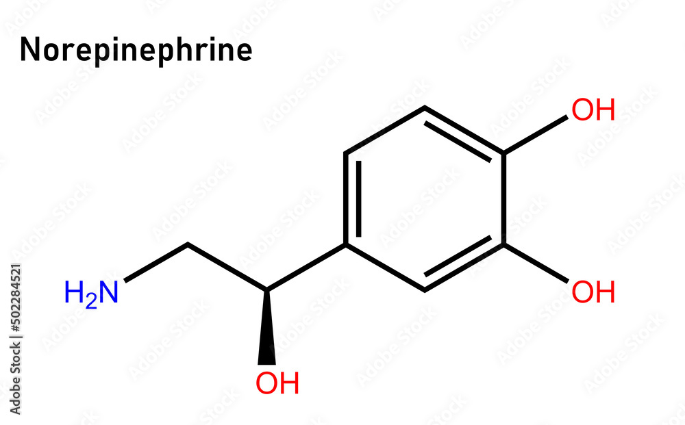 Norepinephrine, also called noradrenaline or noradrenalin, is an
