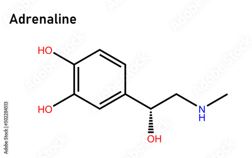 Adrenaline, also known as epinephrine, is a hormone and medication which is involved in regulating visceral functions (e.g., respiration).