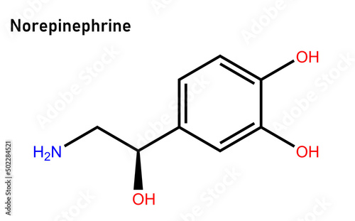 Norepinephrine, also called noradrenaline or noradrenalin, is an organic chemical in the catecholamine family that functions in the brain and body as both a hormone and neurotransmitter.