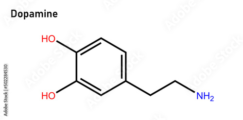 Dopamine is a neuromodulatory molecule that plays several important roles in cells. It is an organic chemical of the catecholamine and phenethylamine families. photo