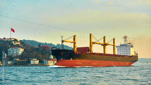Fotografiet Bulk carrier in Bosphorus Strait, Istanbul, Turkey