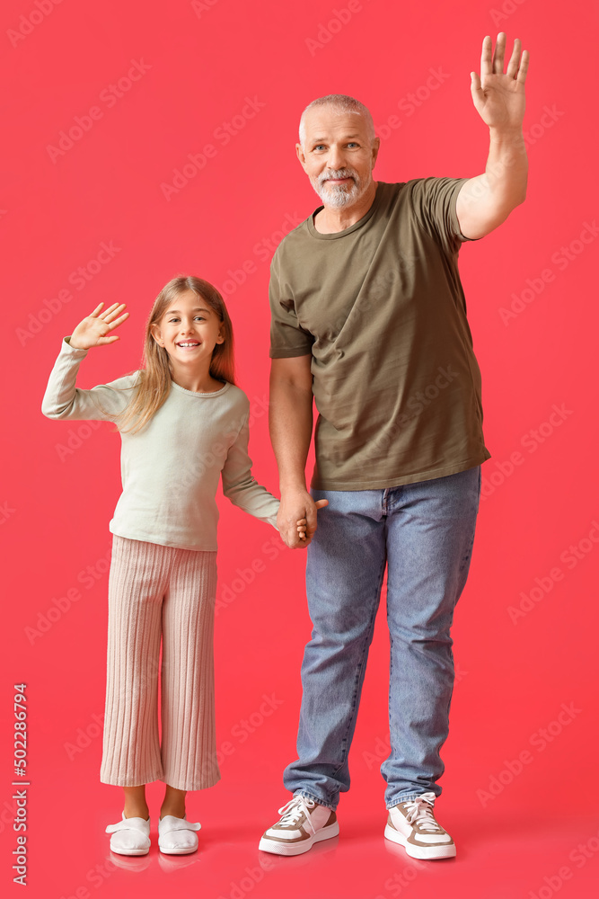 Little girl with her grandfather waving hands on red background Little girl with her grandfather waving hands on red background
