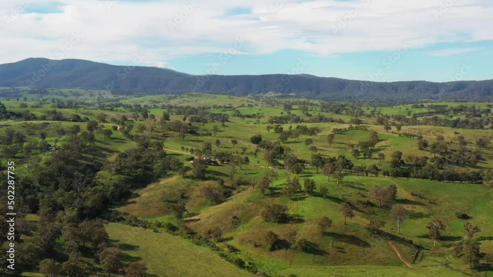 Overview of Bega valley scenic green pastures at dairy farms – agriculture 4k.
Overview of Bega valley scenic green pastures at dairy farms – agriculture 4k.