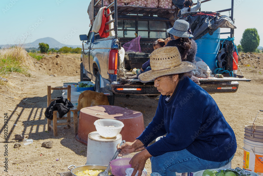 portrait of a hispanic woman in vegetable plantation