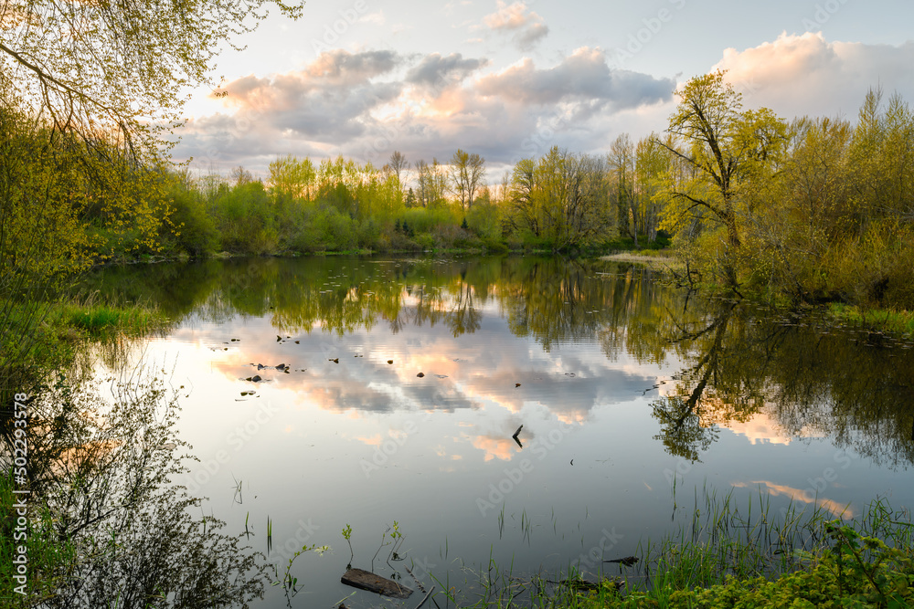 Fototapeta premium Peaceful pond at sunset in the idyllic Snoqualmie Valley near Seattle in the Pacific Northwest with the trees and clouds reflecting in the calm water