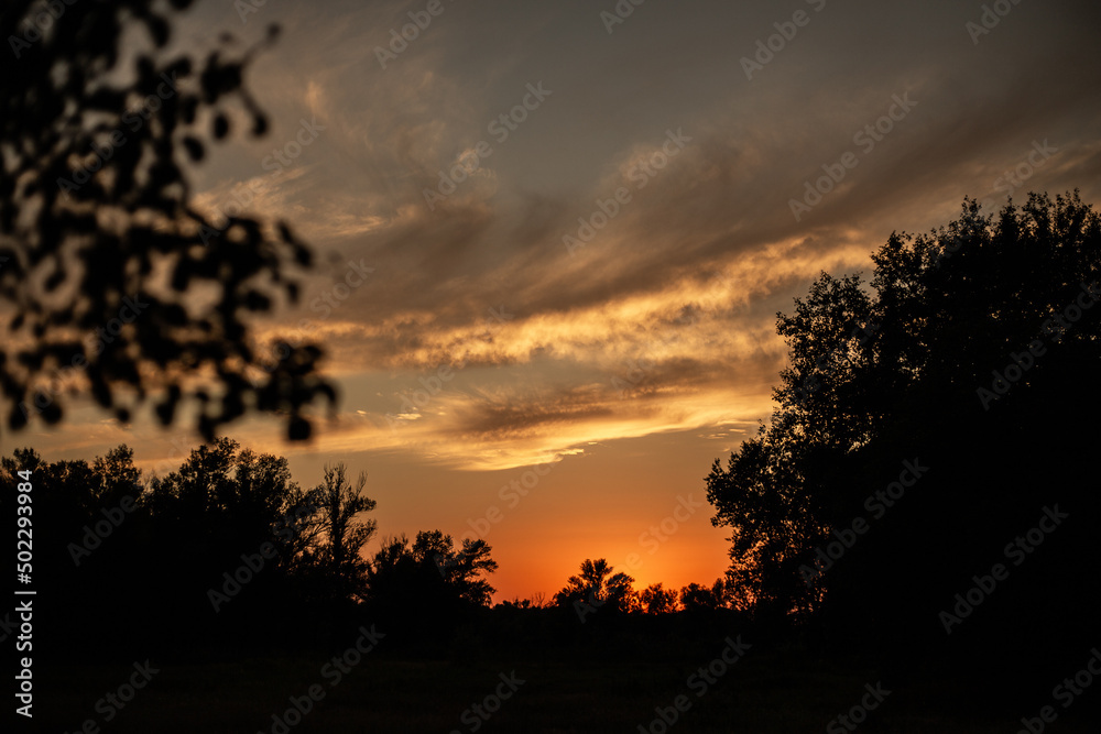 sunset with clouds over of the black trees in a sepia shade. Ukraine