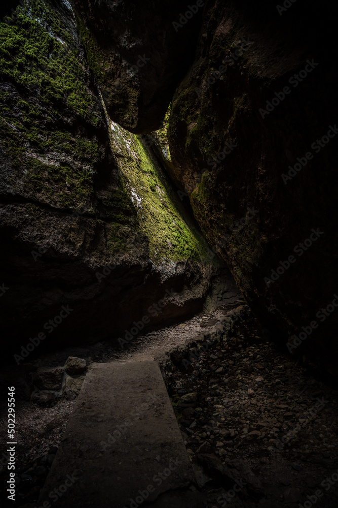 Morning Light Hits Mossy Wall On Bear Gulch Cave Morning Light Hits Mossy Wall On Bear Gulch Cave