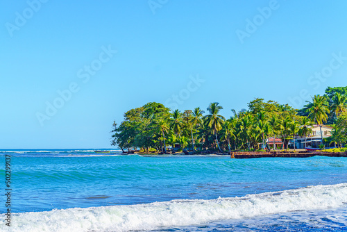 Fototapeta Naklejka Na Ścianę i Meble -  Playa Cocles, tropical beach with beautiful vegetation Caribbean beach, Puerto Viejo, Costa Rica east coast