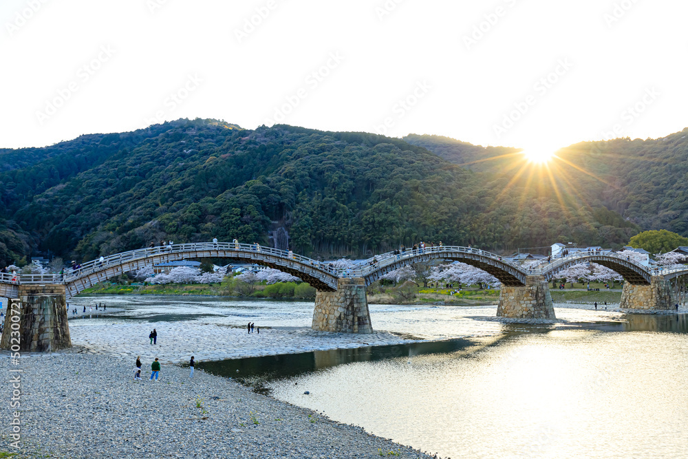 夕日と春の錦帯橋　山口県岩国市　Sunset and spring Kintaikyo Bridge. Yamaguchi-ken Iwakuni city.