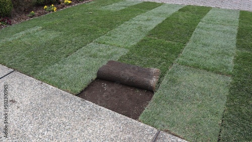 installing sod