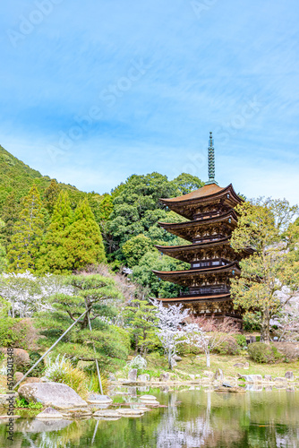 春の瑠璃光寺五重塔 山口県山口市 Spring Ruriko-ji Five-storied Pagoda. Yamaguchi-ken Yamaguchi city.