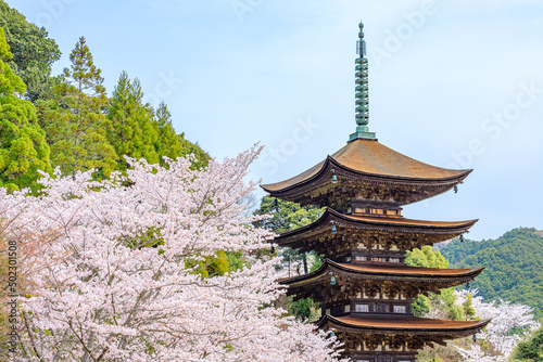 Yamaguchi-Ken Images – Browse 25 Stock Photos, Vectors, and Video